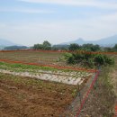 한평공인중개사사무소 이미지