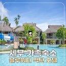 블루머핀 | 세부 호텔 막탄 가족숙소 가성비 블루워터 마리바고 수영장 조식 후기