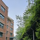 금모래초등학교 | 은행동 금모래초등학교 수목방제작업