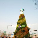 마임당산