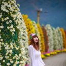 국화공원 이미지