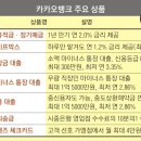 카카오뱅크 대출 저축 상품 내용, 두번째 인터넷전문은행 카카오 뱅크 출범 서비스 특징 이미지