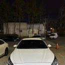 뉴하이렌트카 이미지