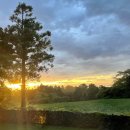 제주호시담 이미지