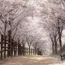 무진장 - 수성구 매호동 | 무진장