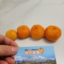 세빈농장 이미지