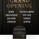 푸라닭고양 이미지