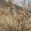 유계농장 이미지