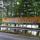 가산초 삼거리 Daum카페