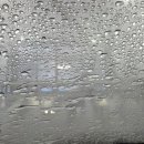 워시엠셀프세차 이미지