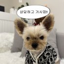 (주)식스팩토리