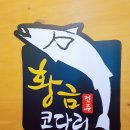 황금코다리 - 13538 | 황금코다리