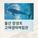 아빠와 고래 | 아이랑 울산 여행 코스 장생포 고래 생태체험관 방문 후기