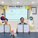 문화스포츠