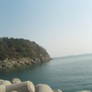 오동도 이미지