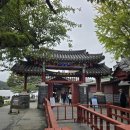 멍쥬 | SIYAZU Effortless Dive Camping 시아쥬 남이섬 캠핑 페스티벌 후기