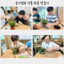 위도원예
