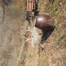 구름밭농장 이미지