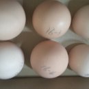 현인농장 이미지