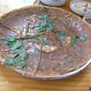 꿀참나무 이미지