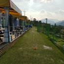 애견동반 멍멍아노올자 이미지