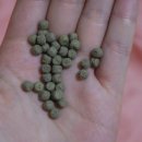 굿데이365 이미지