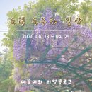 산들산들펫샵 | 4월 4째주 일상