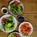 양평 에그팜 | 고성 청간정 콘도 후기