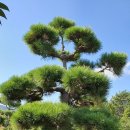 해송농장 이미지