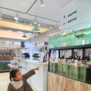 건이네 파충류 이미지