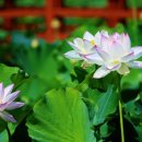 승달농장 이미지