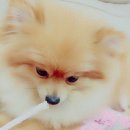 소망인력 이미지