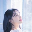 크리켓히어로즈