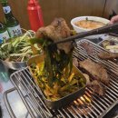 꼴통돼지 이미지