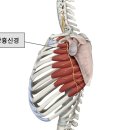 반석한의원 이미지