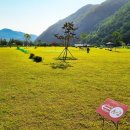 동해파크 이미지