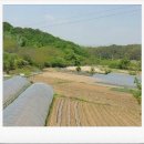 광진자동차정비공장 이미지