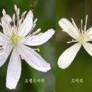 문경시청(문경자연생태박물관)