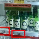 카멜리아 이미지