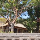 칠곡 지경당 이미지