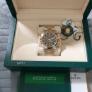 데이토나 이미지