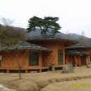 솔향기흙내음