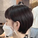 바비하우스 이미지