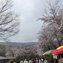 우주여관 | [충남 예산 여행] 봄날, 고즈넉했던 수덕사에 다녀왔어요★