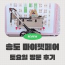 마이펫 | 2026 마이펫페어 송도 토요일 오픈런 후기 및 떼샷