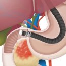 센텀병원 이미지