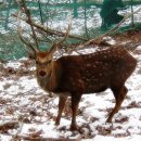 고유종농장 이미지