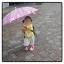 보(Beau) | 홀리앤보(Holly & Beau) 비가오면 색이 변하는 컬러체인징 아동우산