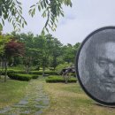 빛-자작나무 이미지