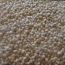 먹고보리 이미지